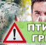 Осторожно – птичий грипп! - Пошехонский район