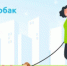 Информация о правилах выгула собак в весенний период - Пошехонский район